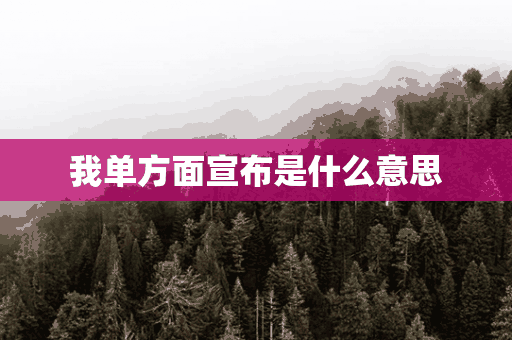 我单方面宣布是什么意思(我单方面宣布是什么意思啊)